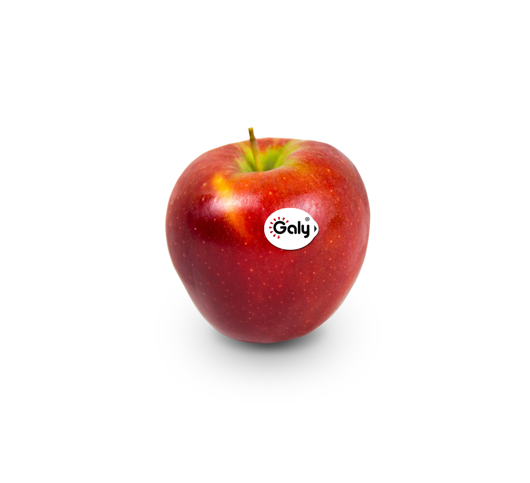 Gally(R) Inoby Fruit
