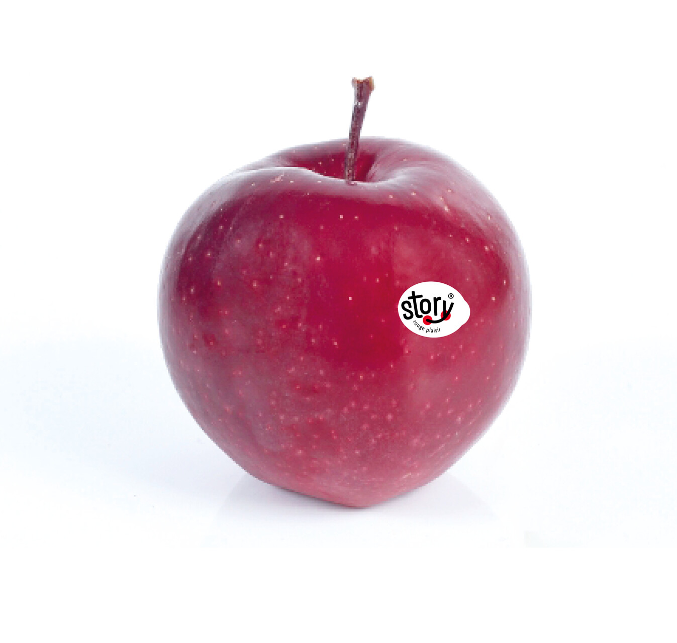 Pmme-sticker-1