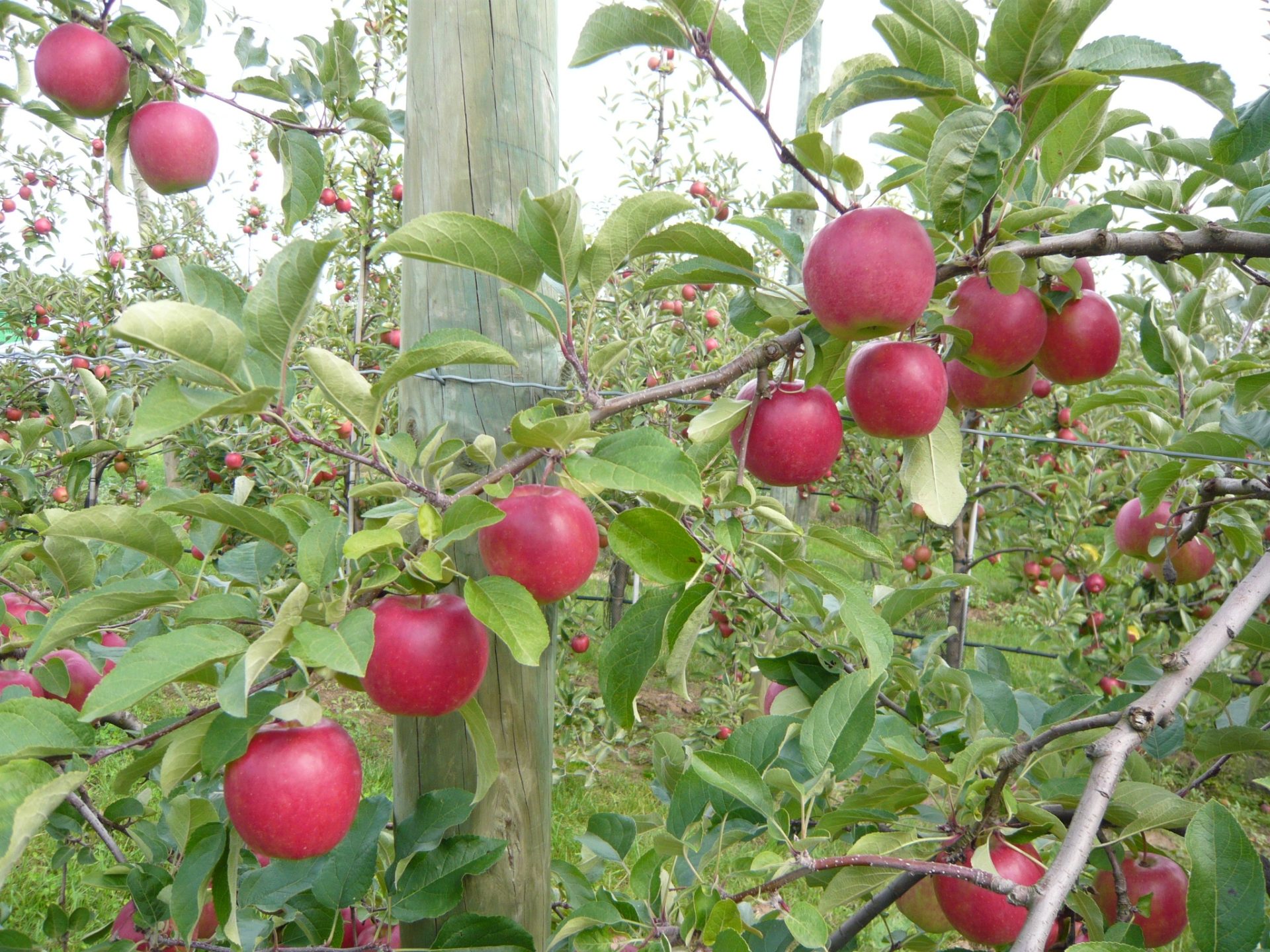 P1000394.JPG