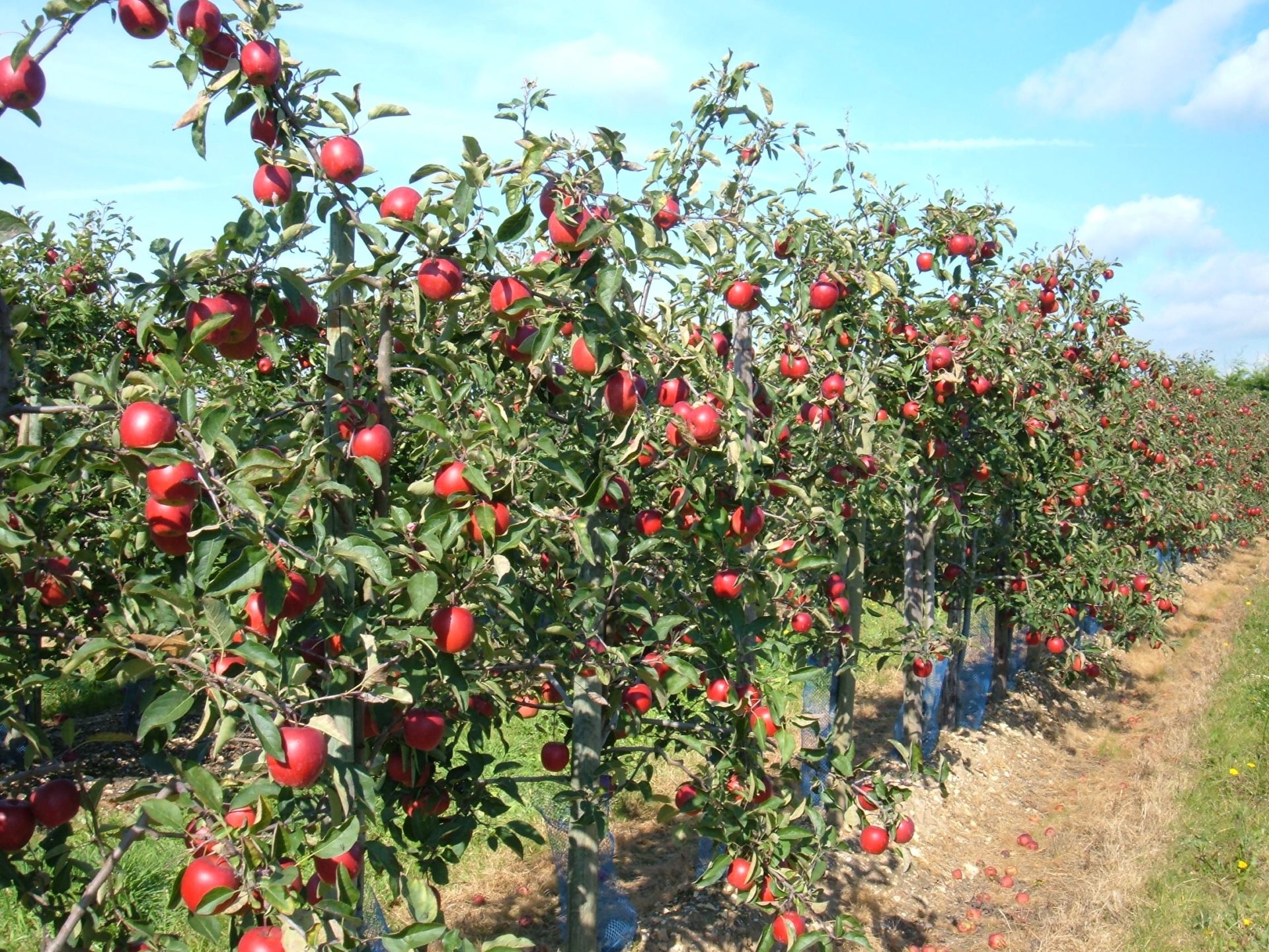 DSCF6715.JPG